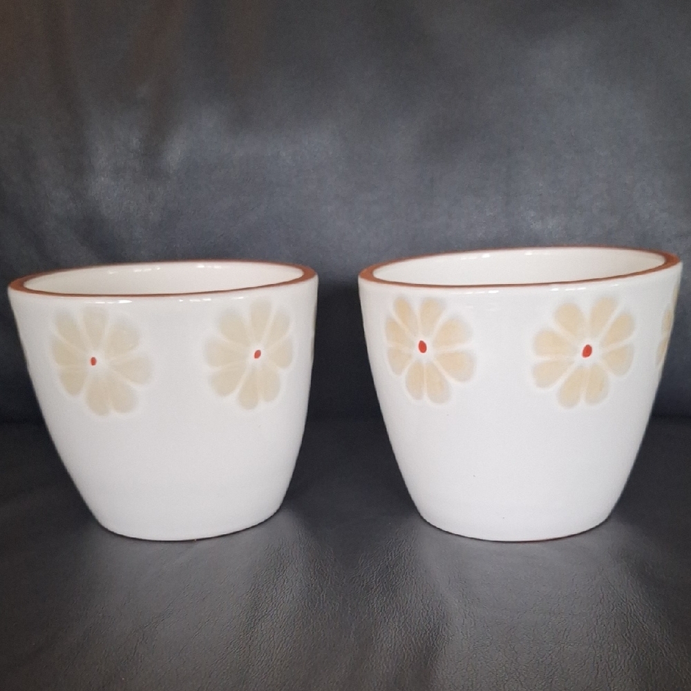 Pair Of Flower Pots